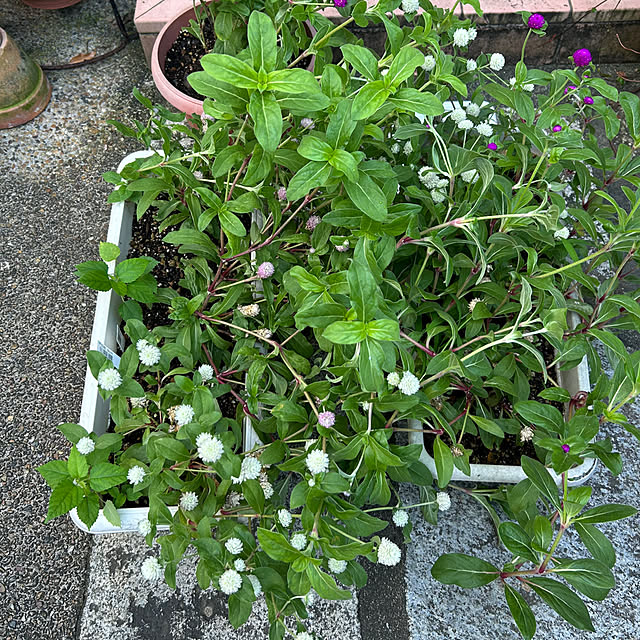 fumikoiさんの部屋
