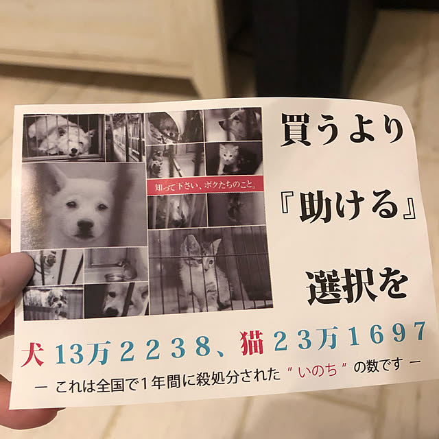 caramelさんの実例写真