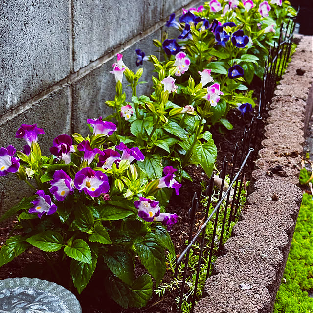 chacoさんの部屋