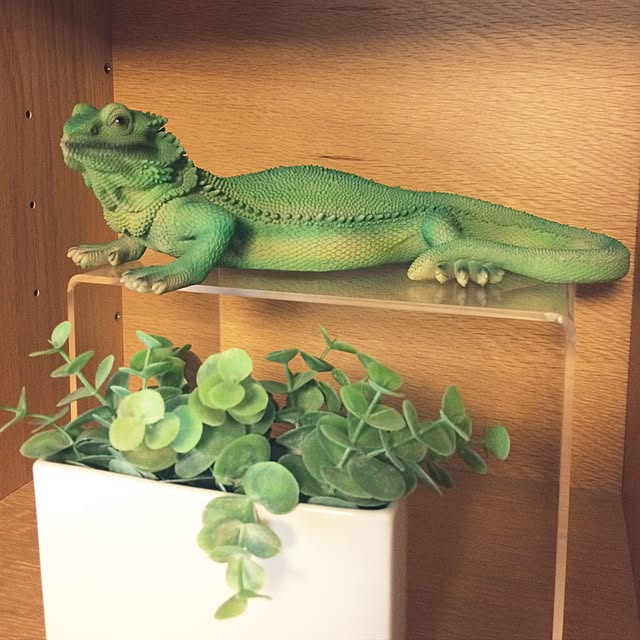 yokoさんの実例写真
