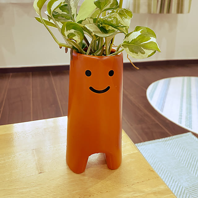 akiさんの実例写真