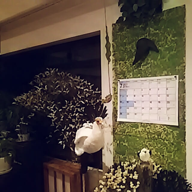 spinetailさんの実例写真
