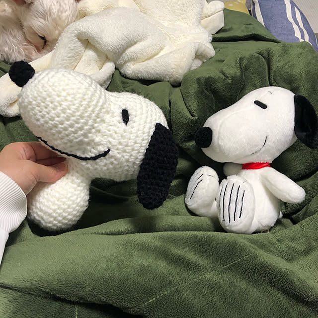 suzyさんの実例写真