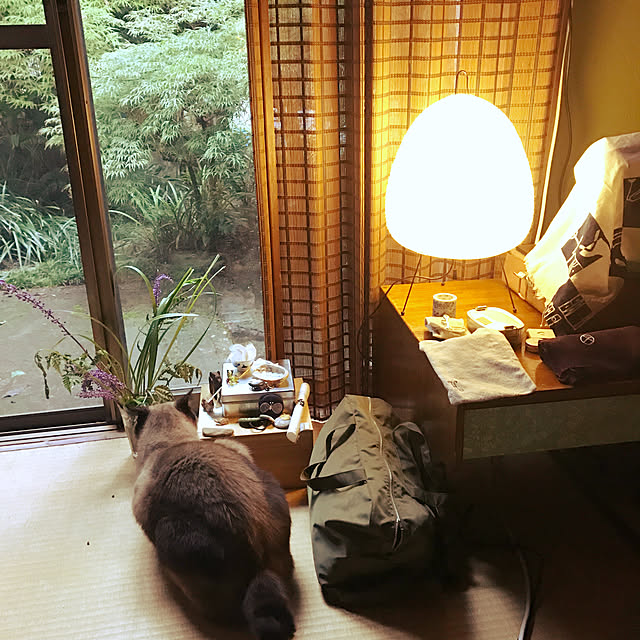 neko-2.2.2runmuさんの実例写真