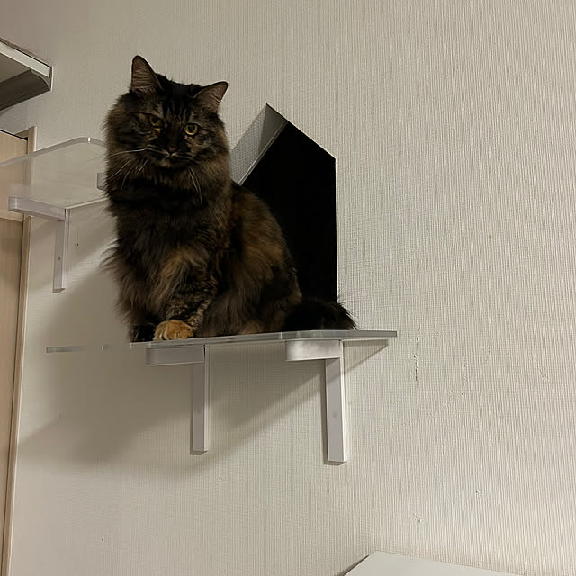 mikomaruさんの部屋