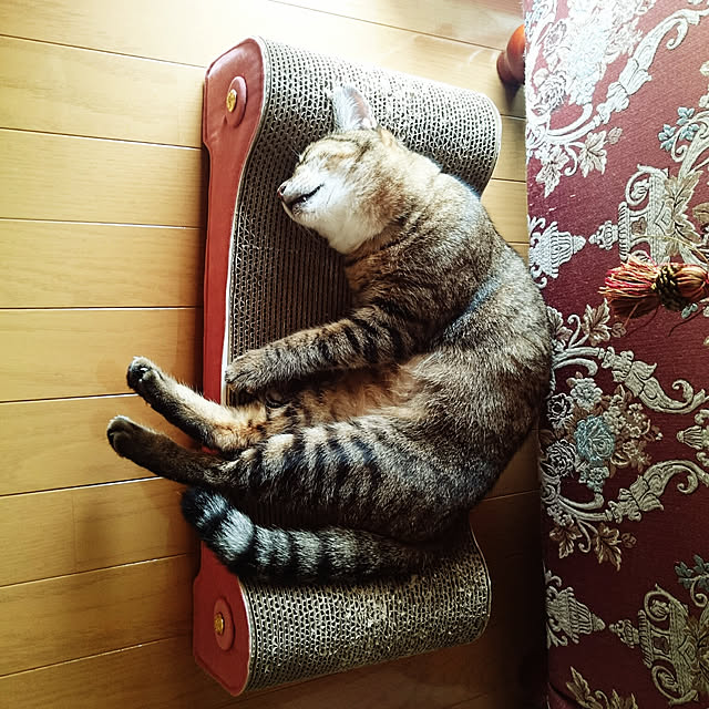 lilyさんの実例写真