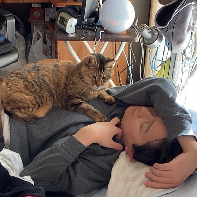 hatsumiさんの実例写真