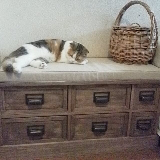 mikiさんの実例写真
