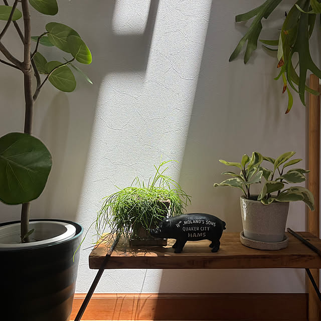timtamさんの部屋