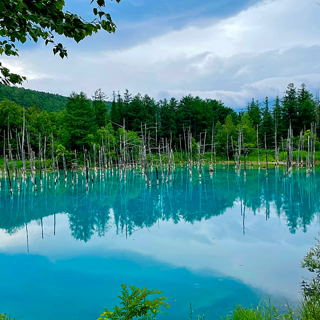maminさんの部屋