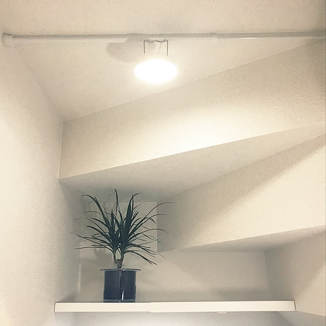 miiさんの実例写真