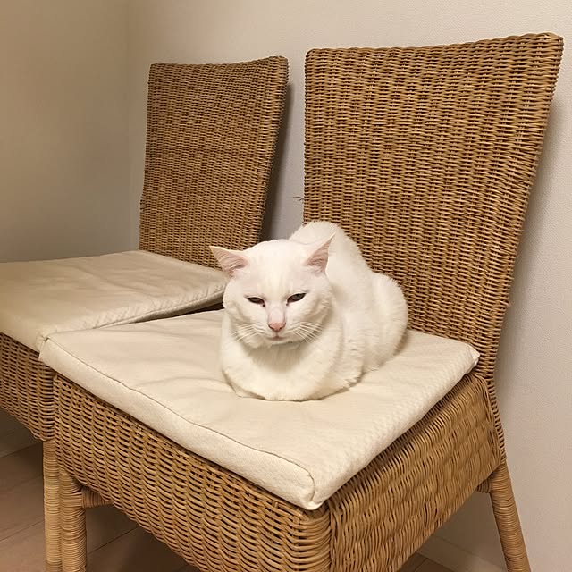 riechanさんの実例写真