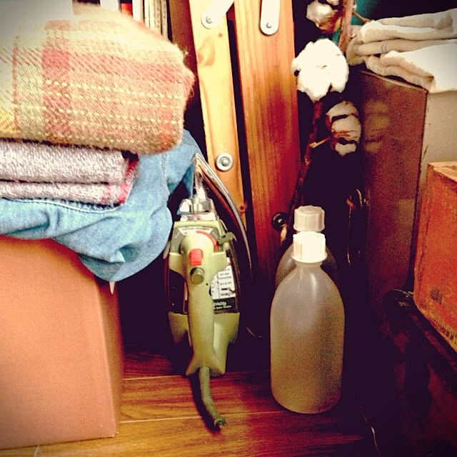 apartment-8639さんの実例写真