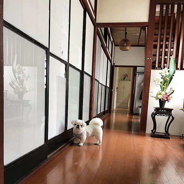 2500さんの実例写真
