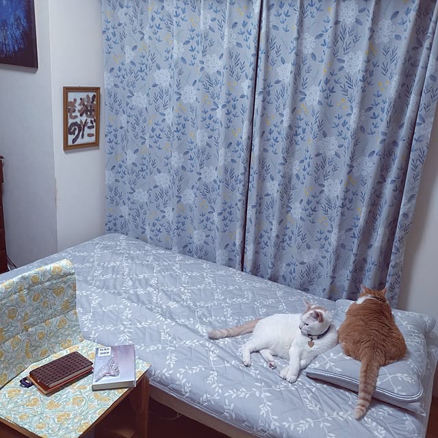 NOAHさんの実例写真