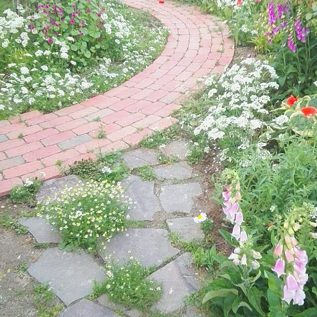 noraさんの実例写真