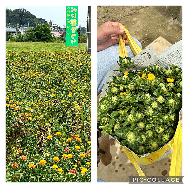 mizucchiさんの部屋