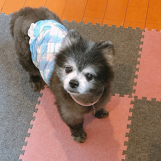 e-aiaiさんの実例写真
