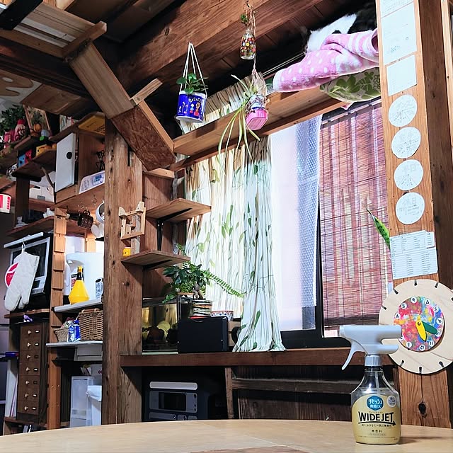 kikuさんの部屋