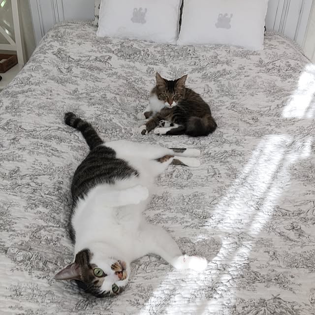 yuchiさんの実例写真