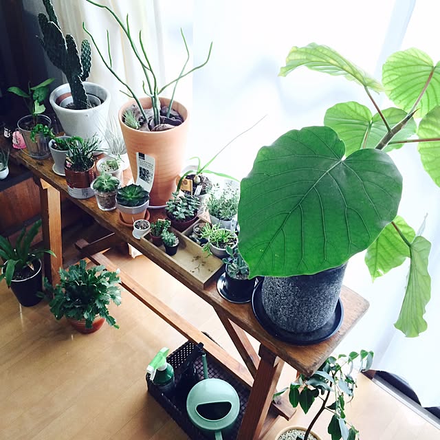 interior_yuさんの実例写真