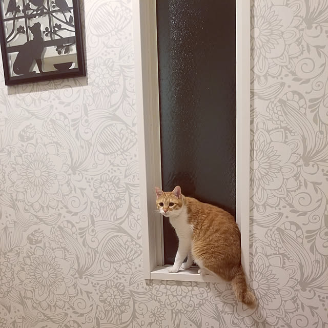 meeさんの実例写真