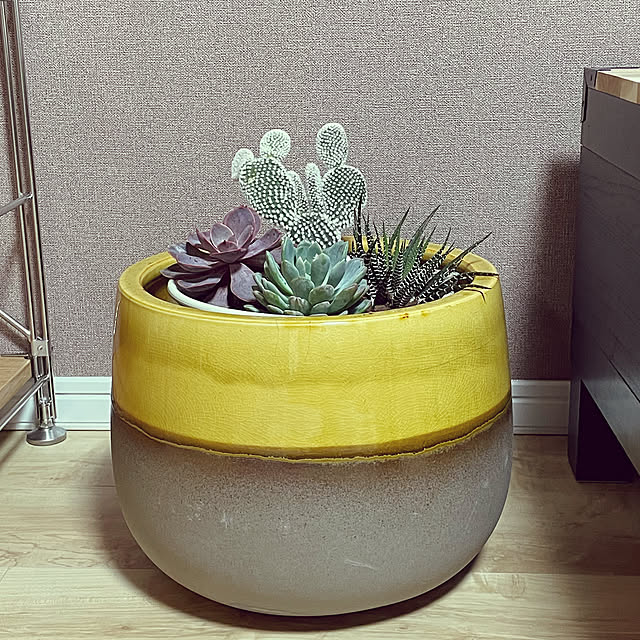 Yuusakuさんの実例写真