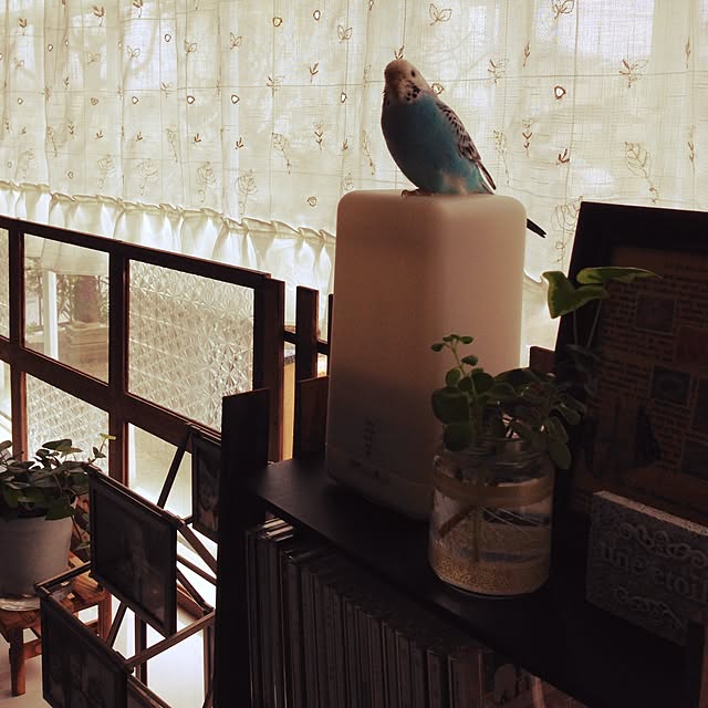 Rikoさんの実例写真