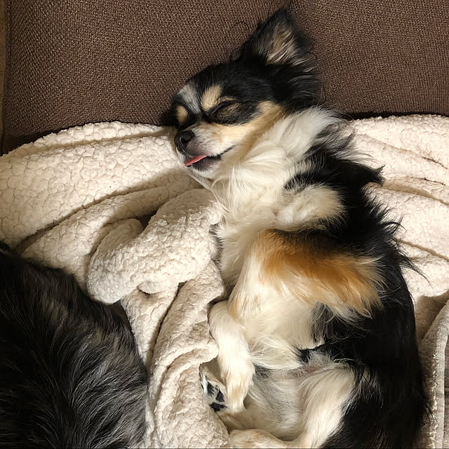 mkさんの実例写真