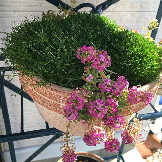 hirokoさんの実例写真