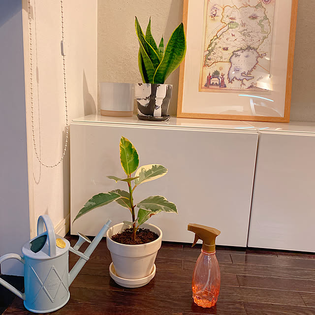biroballonneさんの実例写真