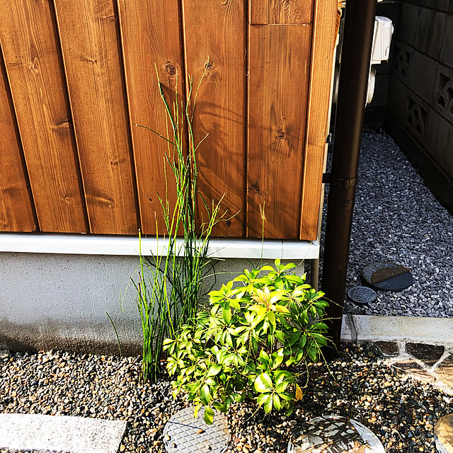 Ryoさんの実例写真