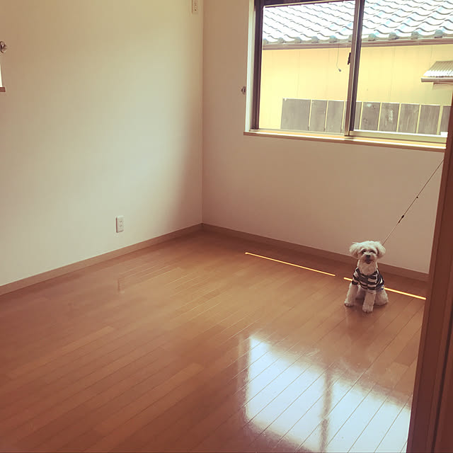 macicoooさんの実例写真
