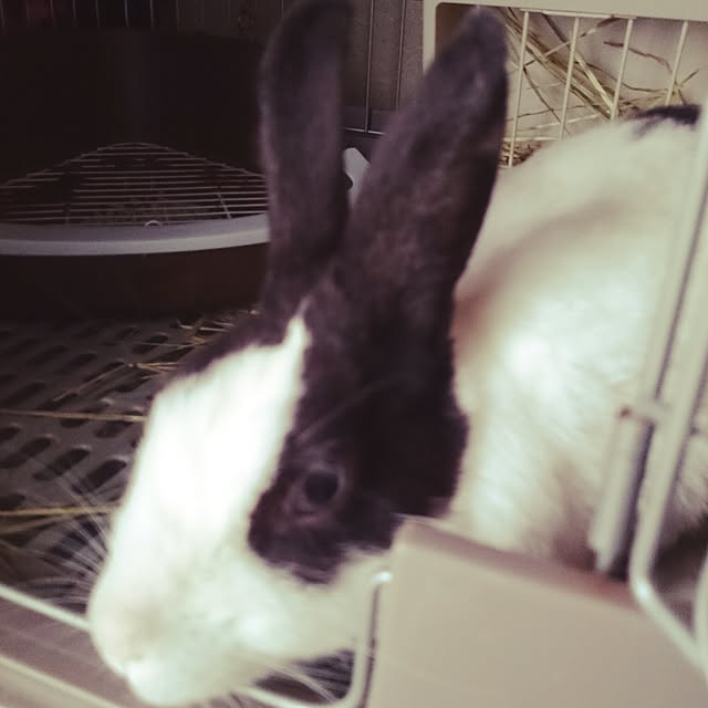 mitsuさんの実例写真