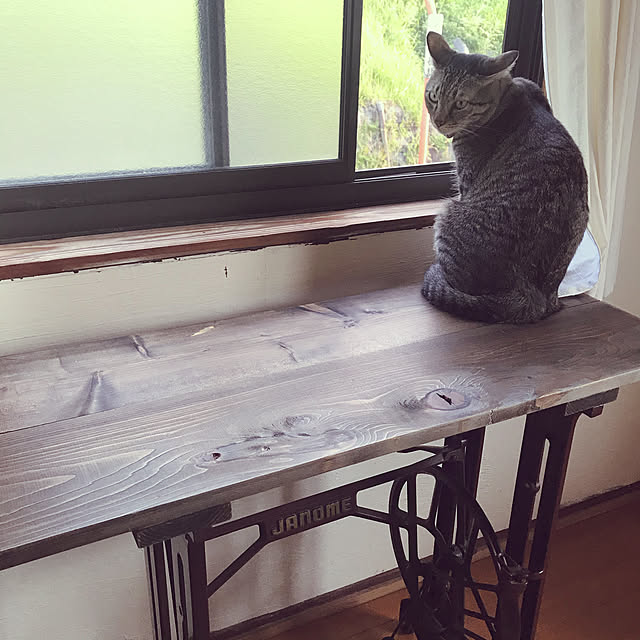 mikan161さんの実例写真