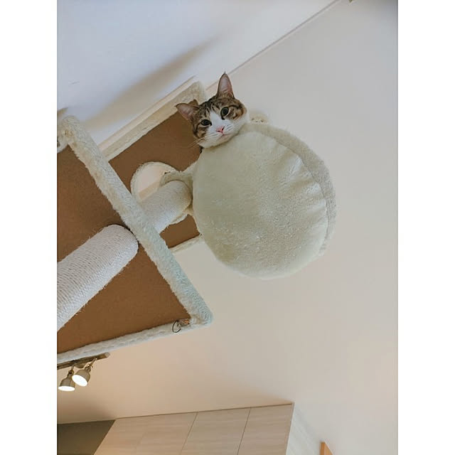 m.aさんの実例写真