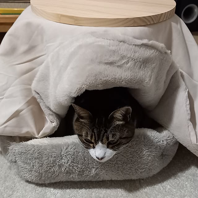 civicglさんの部屋