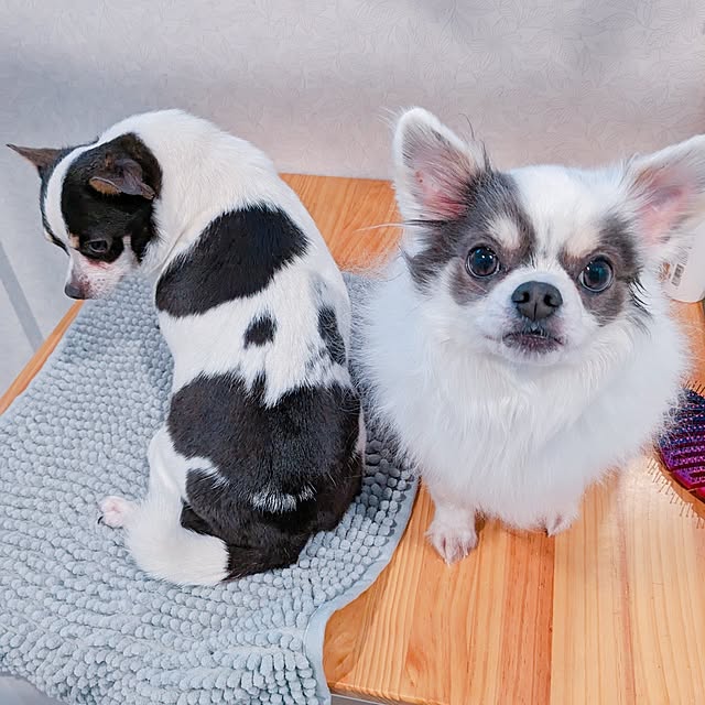 bjhorusさんの実例写真