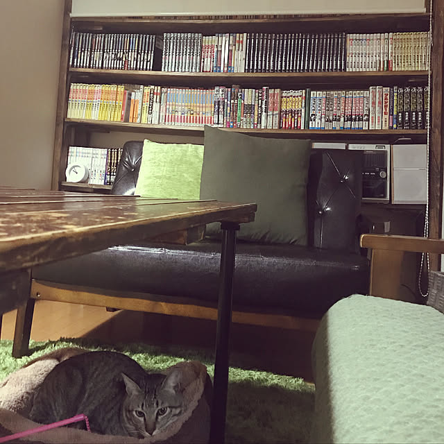 mikan161さんの実例写真