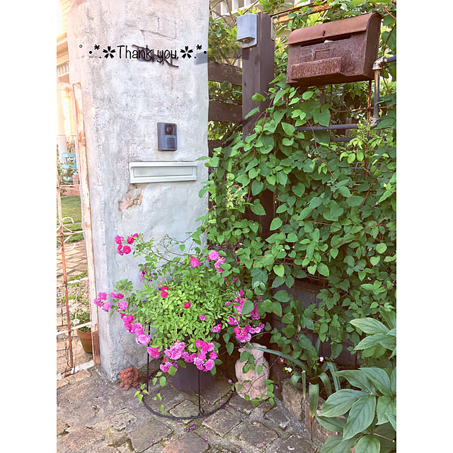 misacoさんの実例写真