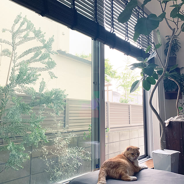 pepperさんの実例写真