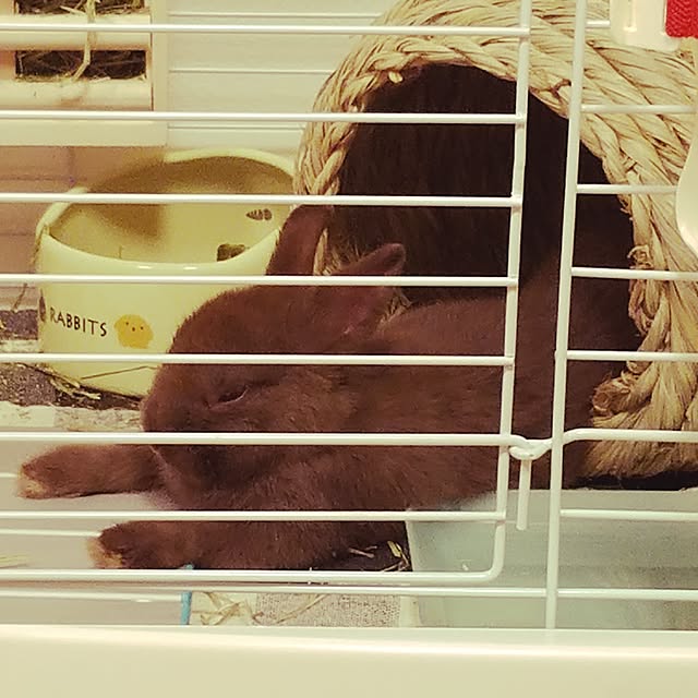 yuiさんの実例写真
