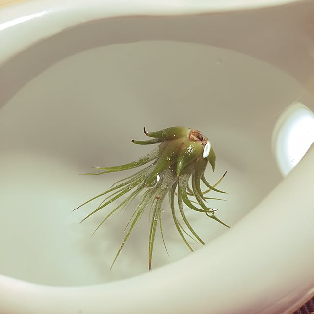 kasmiさんの実例写真