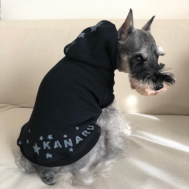 coal-kanaruさんの実例写真