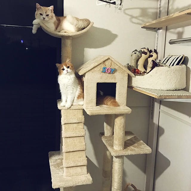 H.Tさんの実例写真