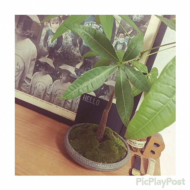 jun.coさんの実例写真