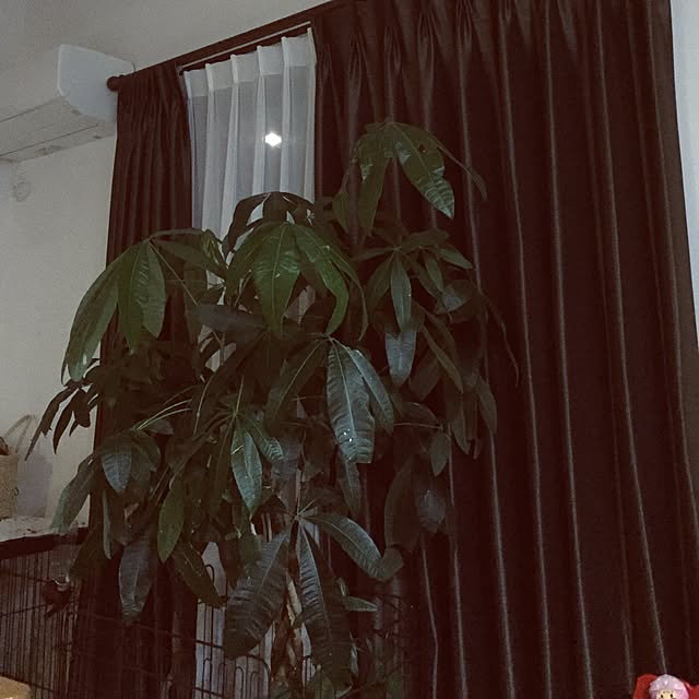 you.sansさんの実例写真