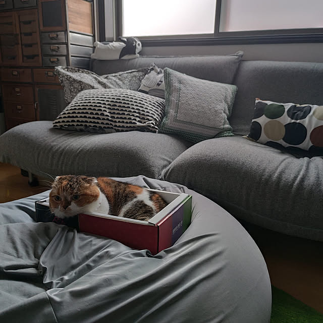 hiro3さんの実例写真
