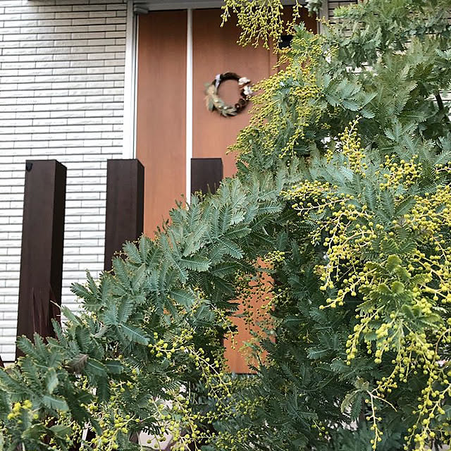 nakariさんの実例写真