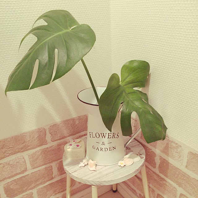 naturalさんの実例写真